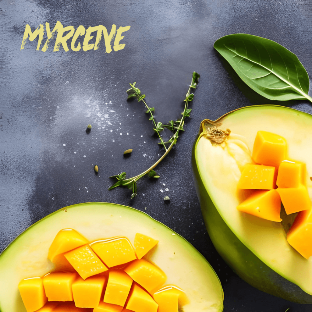 terpene myrcene